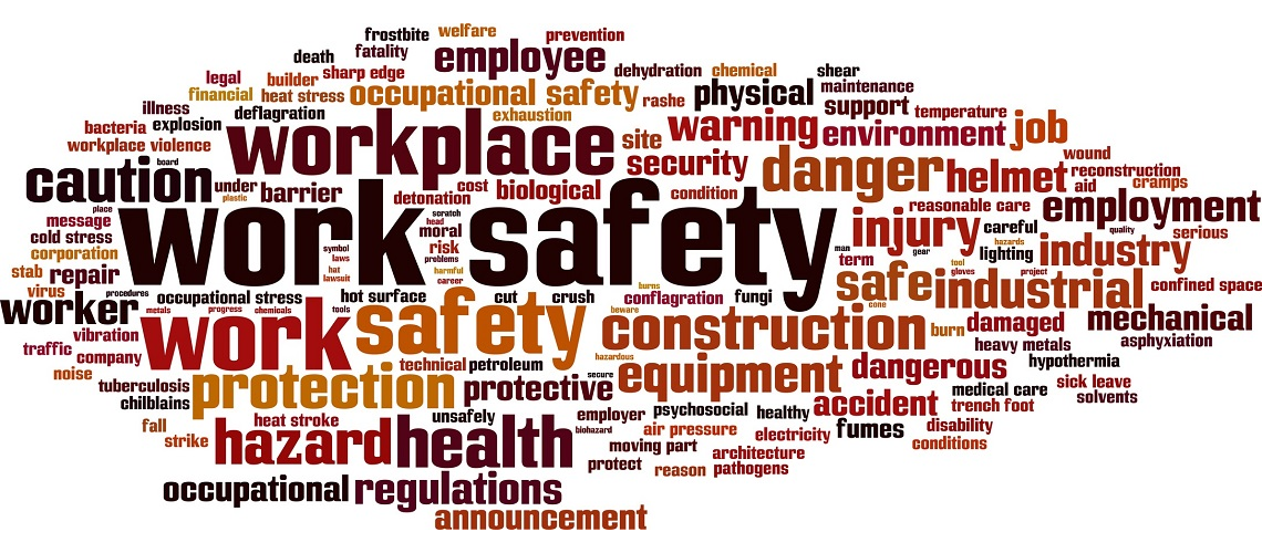 Accredited OHS training programme delivered on-site by Pro Safety