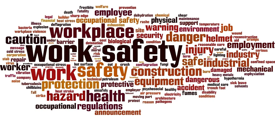 Accredited OHS training programme delivered on-site by Pro Safety